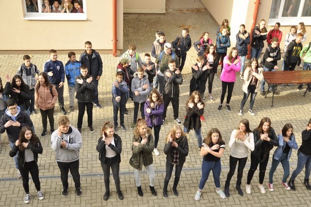 Csibetábor az Aranyban 21